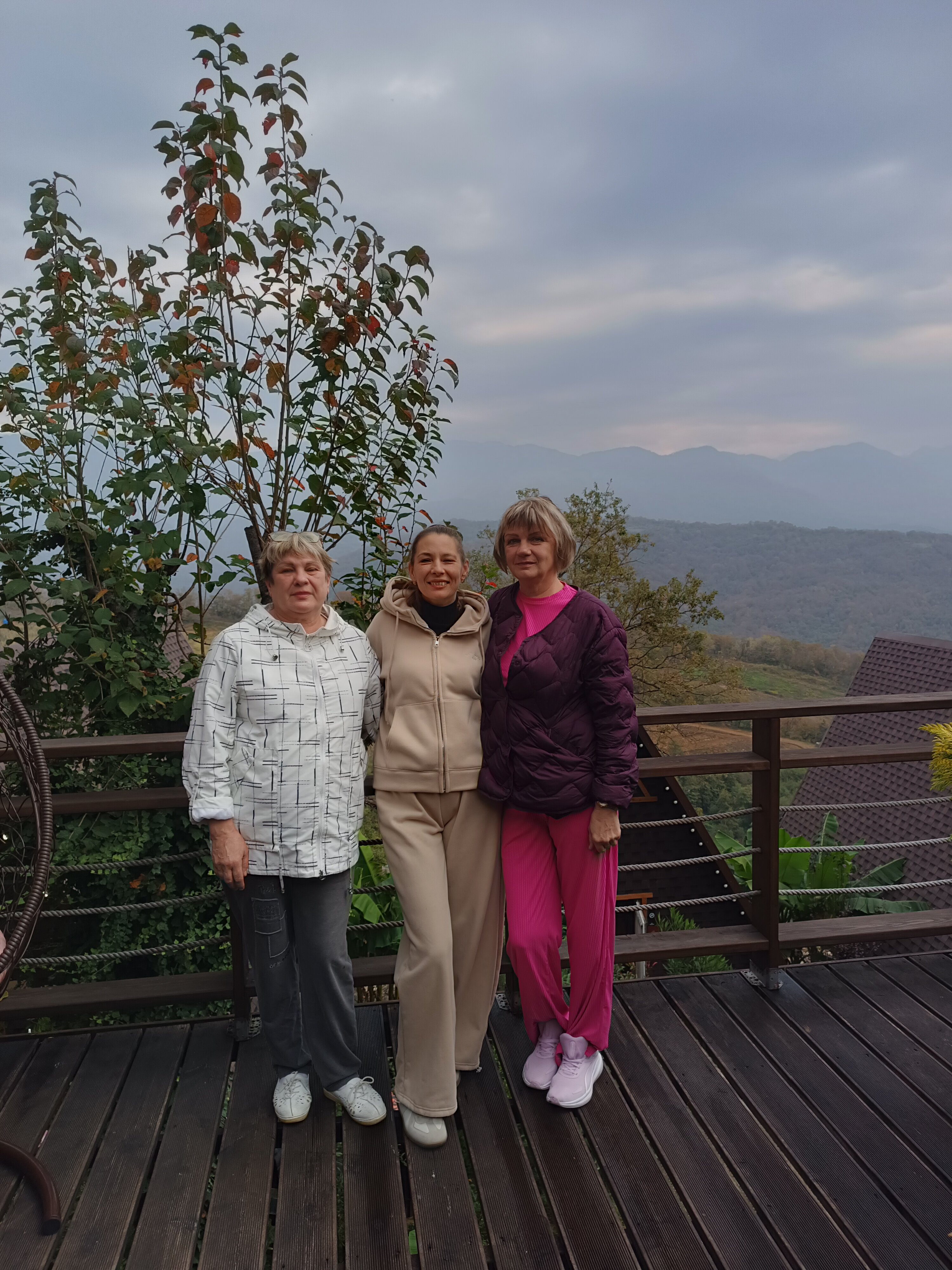 Фото Светогорье