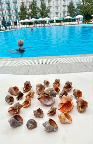 Гостиница Город Mira Family Resort & Spa Anapa Miracleon 5 в Анапе