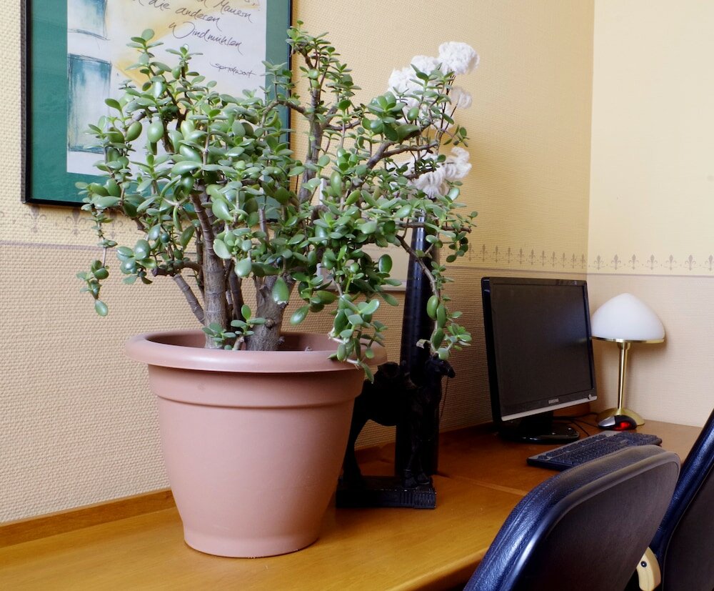 Фото Merseburger Hof