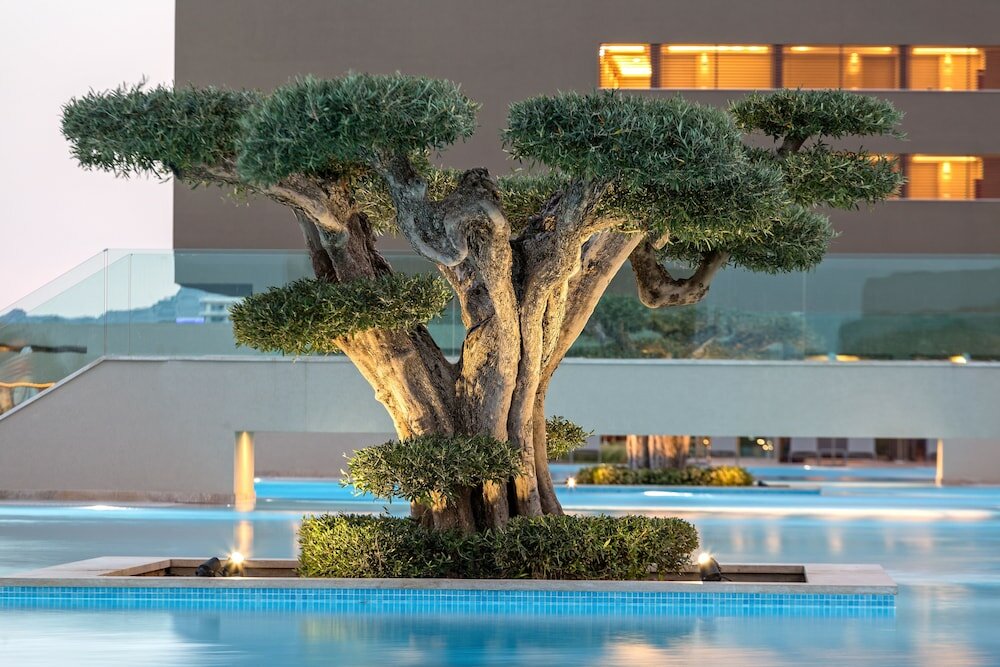 Фото Amada Colossos Resort