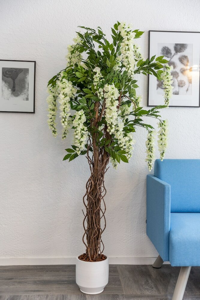 Фото The Alcove Hotel