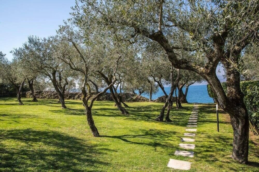 Фото Hotel Ideal