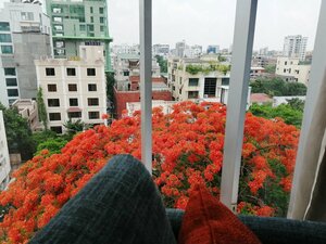 Гостиница Отель The Way Dhaka