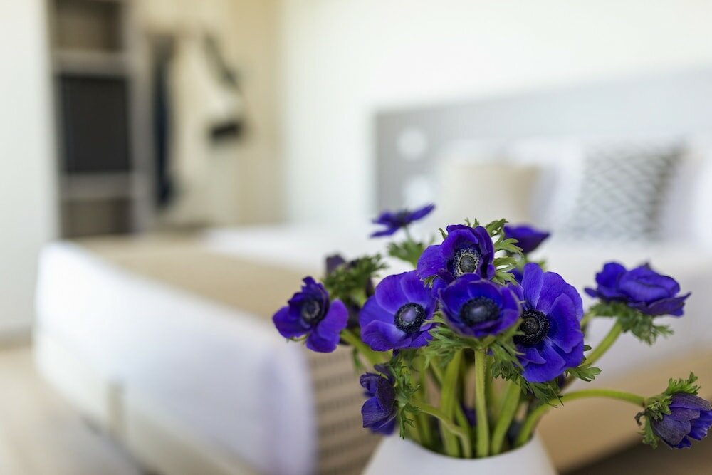 Фото Little Hotel