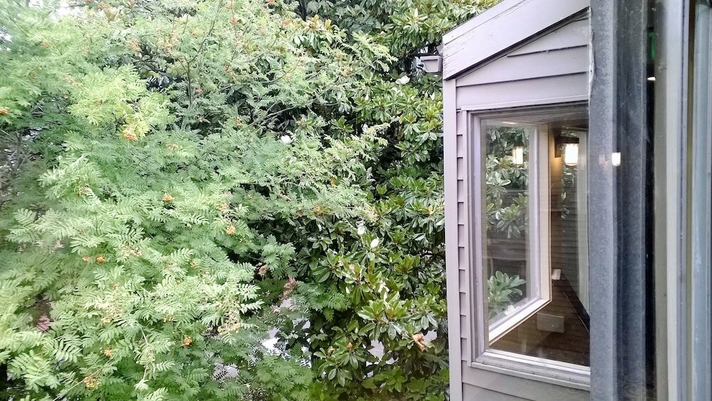 Фото Downtown Value Inn