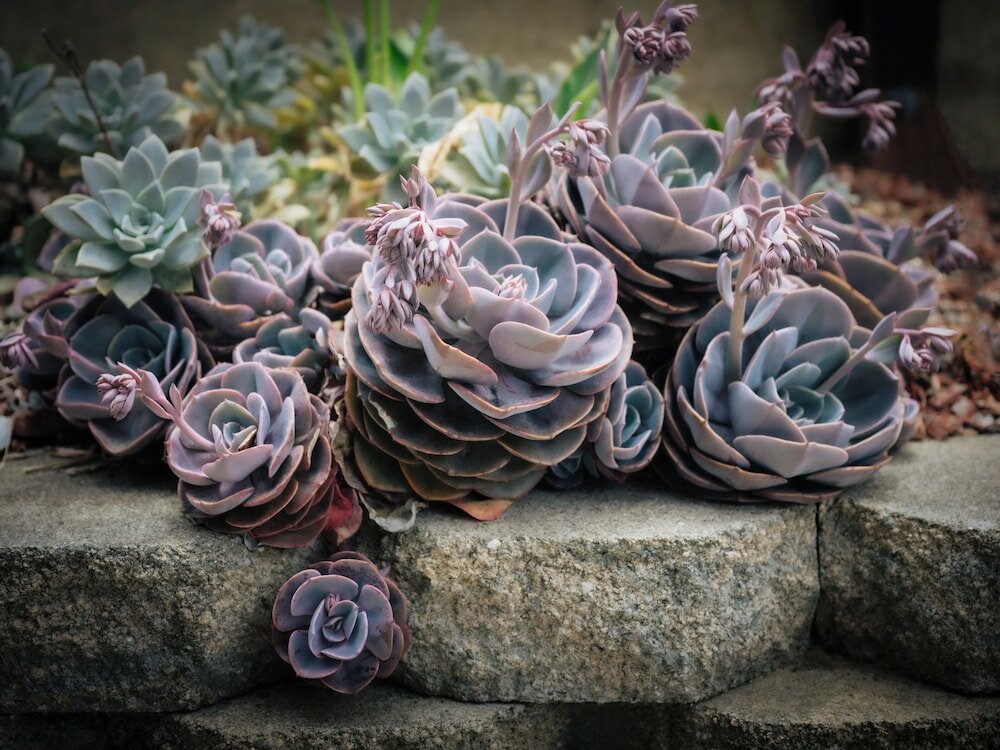 Фото Ocean View Inn