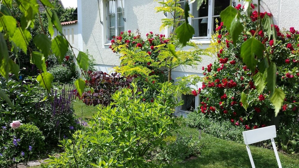 Фото Nya Pallas Hotel