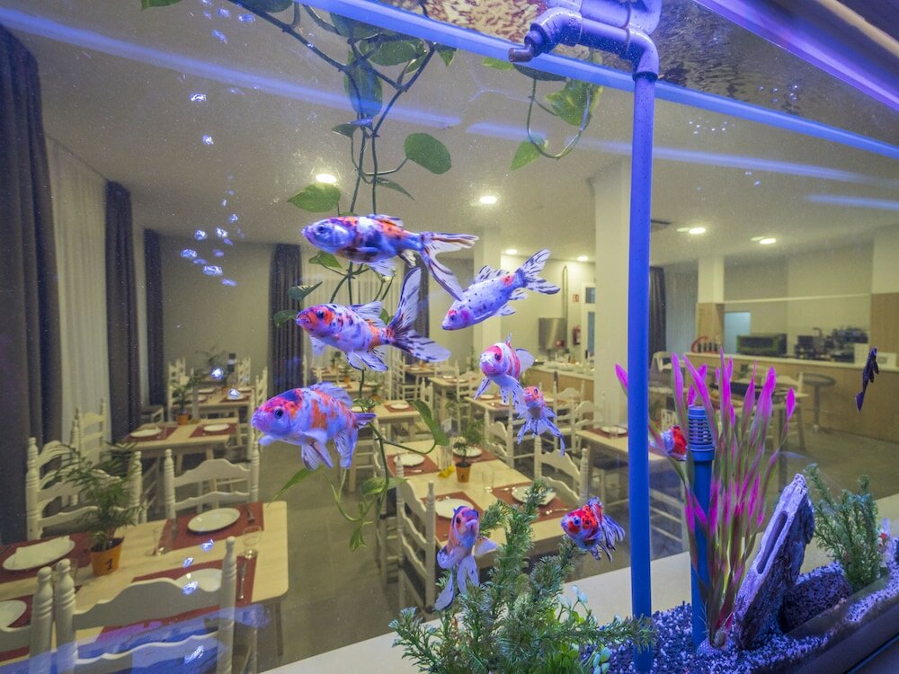 Фото Hotel Victoria