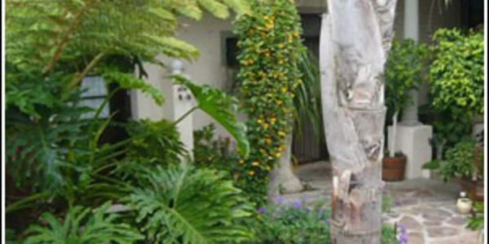 Фото Melkbosch Guesthouse