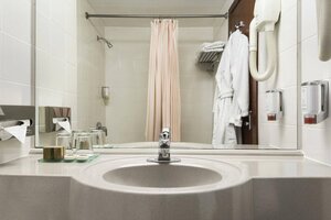 Гостиница Ramada by Wyndham Bucharest Parc