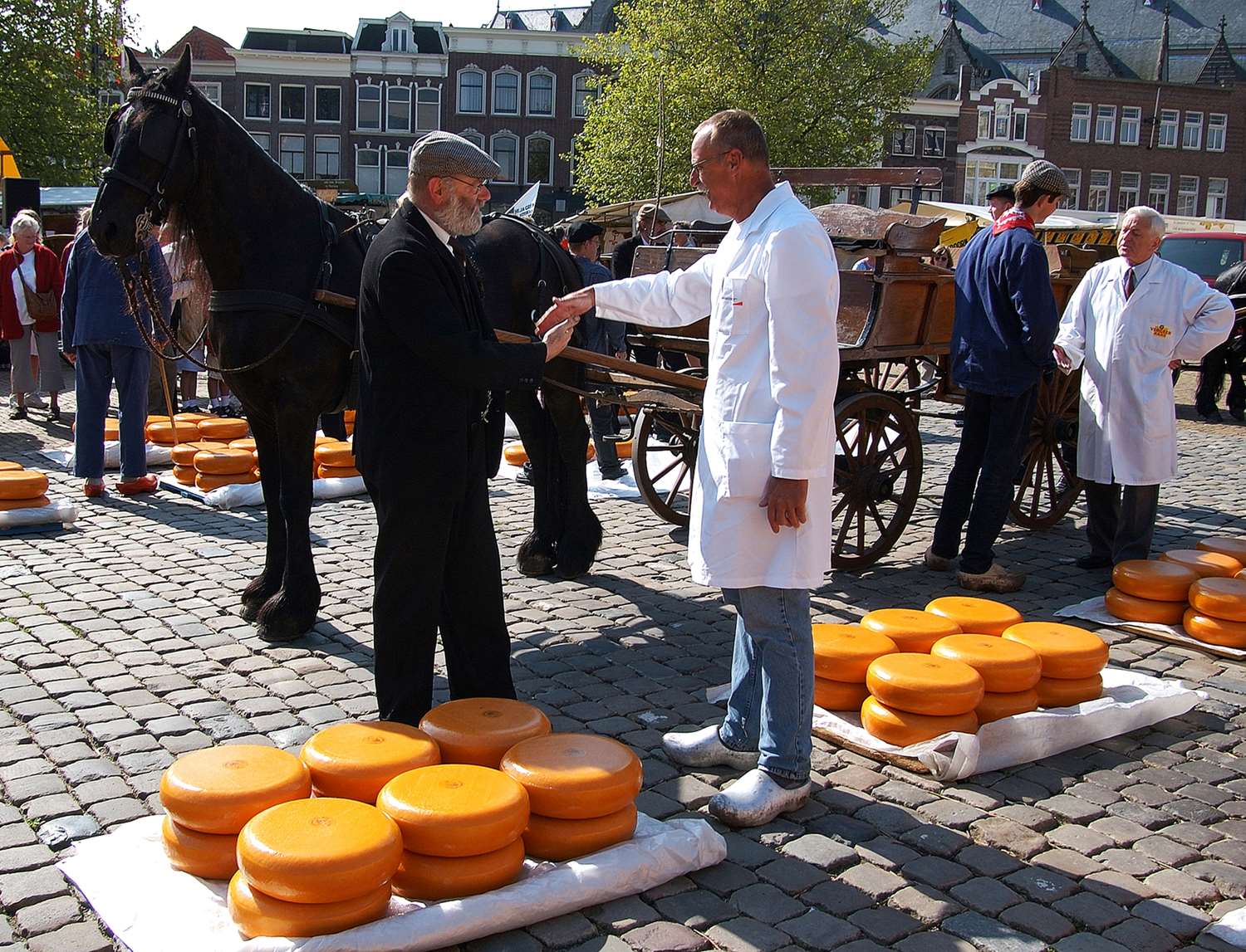 Фото Best Western Plus City Hotel Gouda