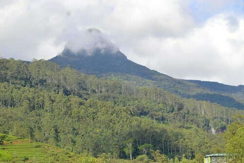 Внешний вид отеля Grand Adam's peak в Наллатаннии, фото 3