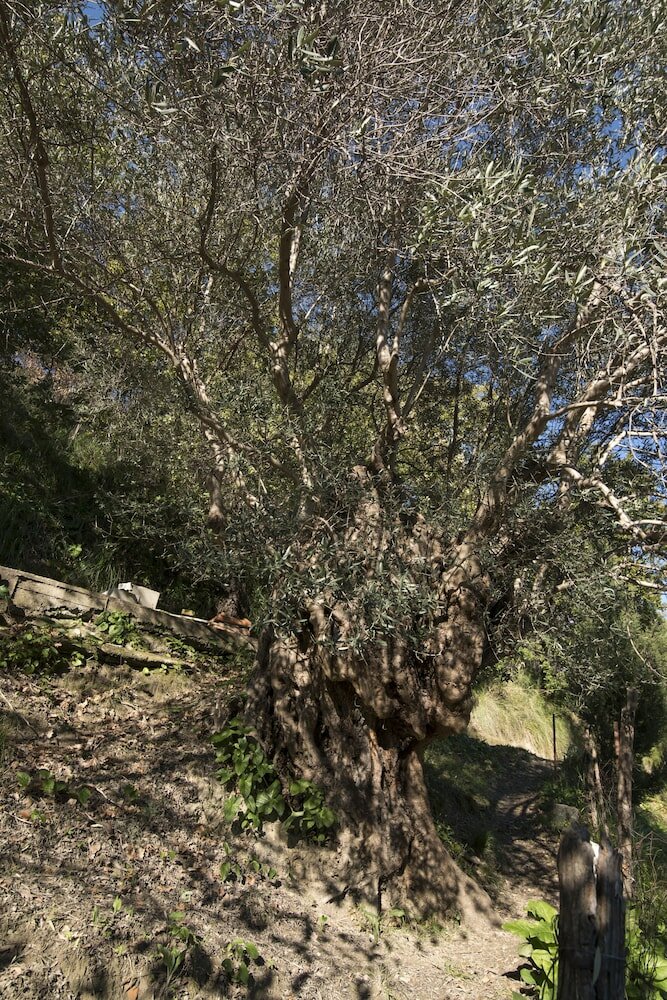 Фото BBuSS Country Club