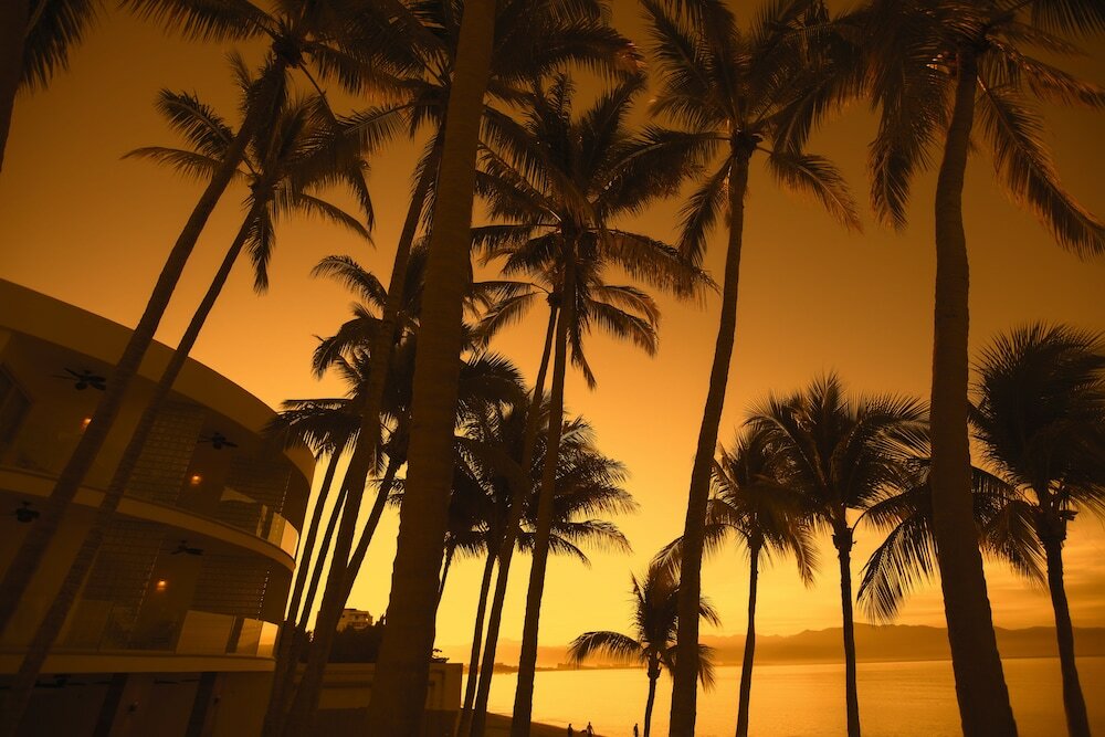 Фото Vista Vallarta All Suites on the Beach