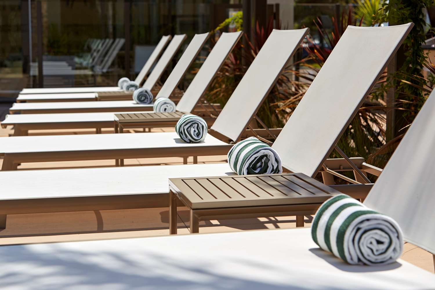 Фото Homewood Suites by Hilton San Diego Mission Valley/Zoo