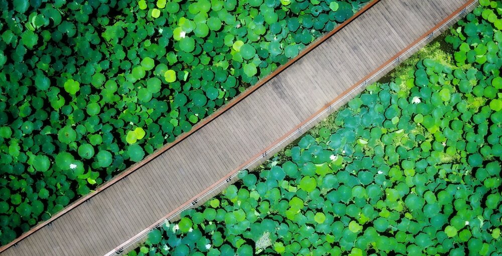 Фото Suining Marriott Hotel