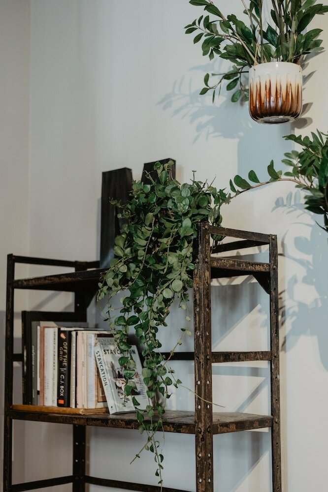 Фото Mother Goose Hotel