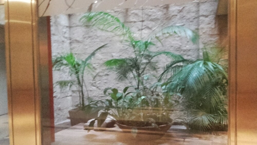 Фото Lafayette Hotel