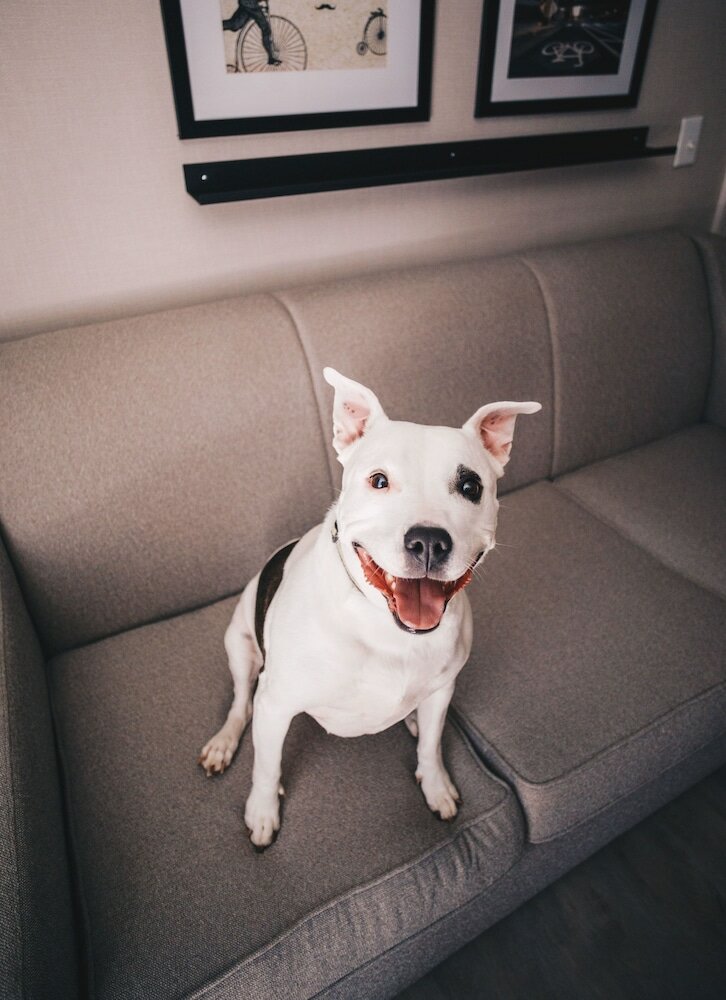 Фото Hyatt Centric Downtown Minneapolis