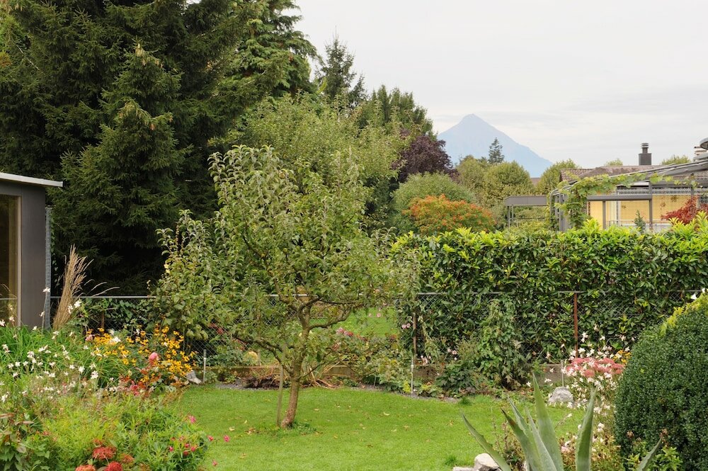 Фото Hotel Derby Interlaken - Action & Relax Hub