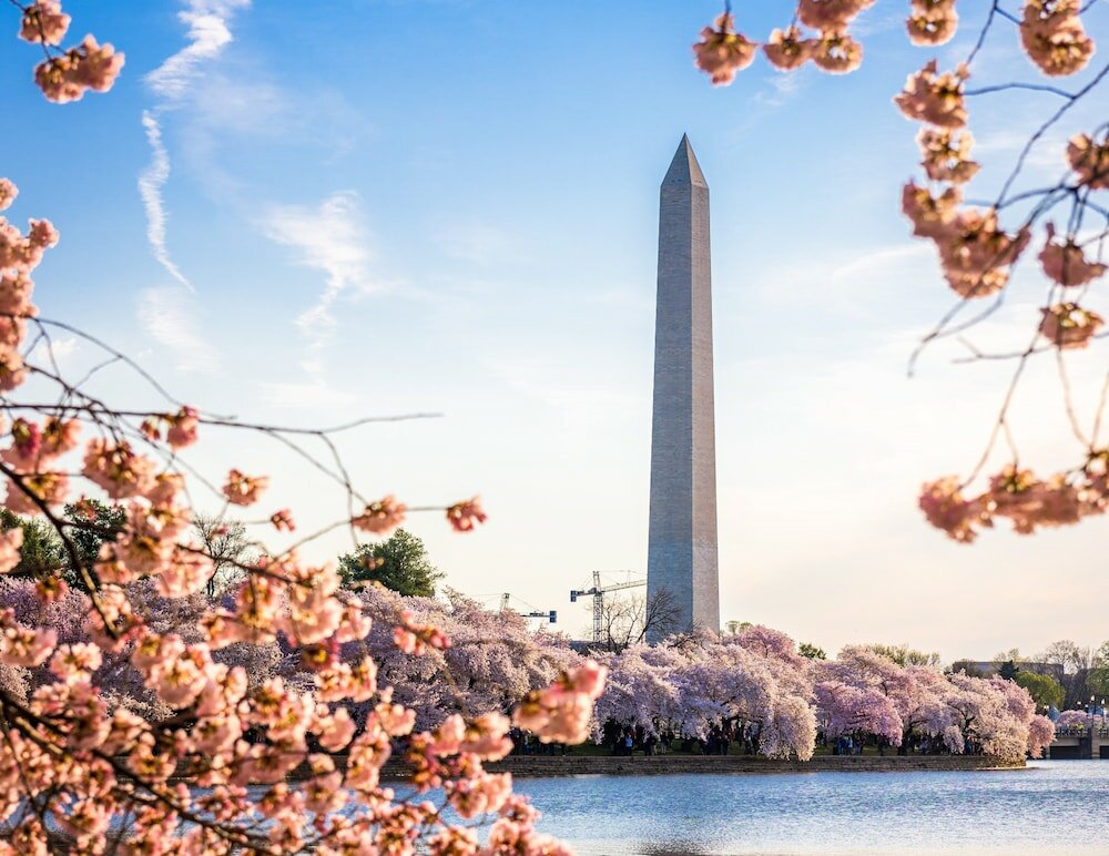 Фото Staybridge Suites Washington D. C. - Greenbelt, an Ihg Hotel