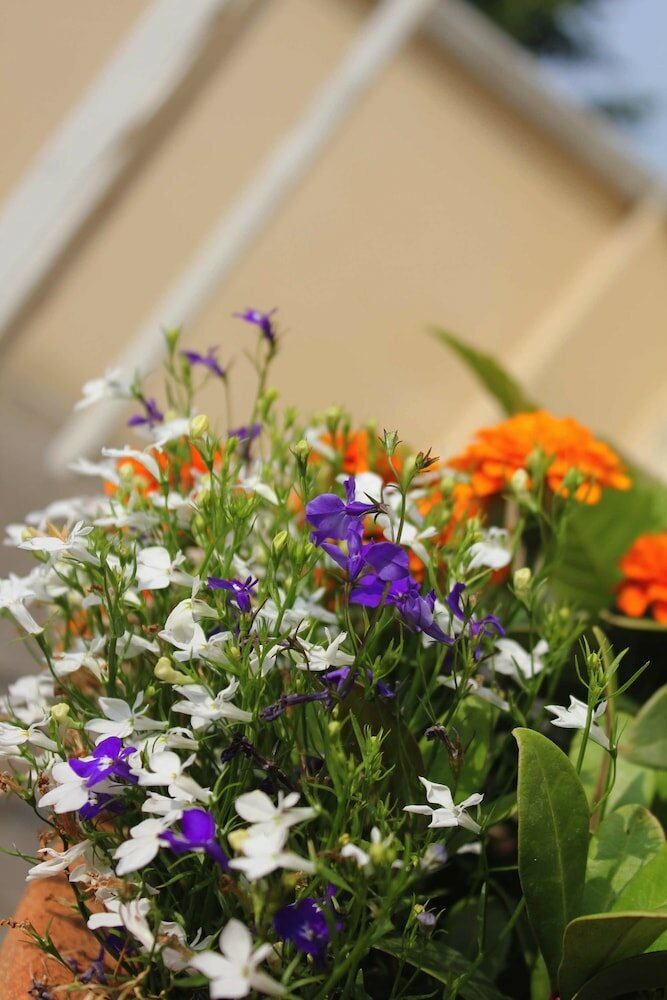 Фото Brentwood Guest House Hotel