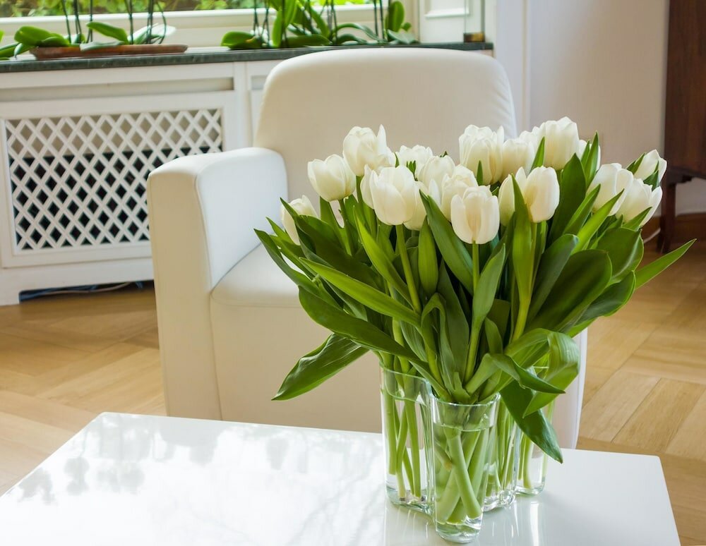 Фото Hotel Villa Falkenberg