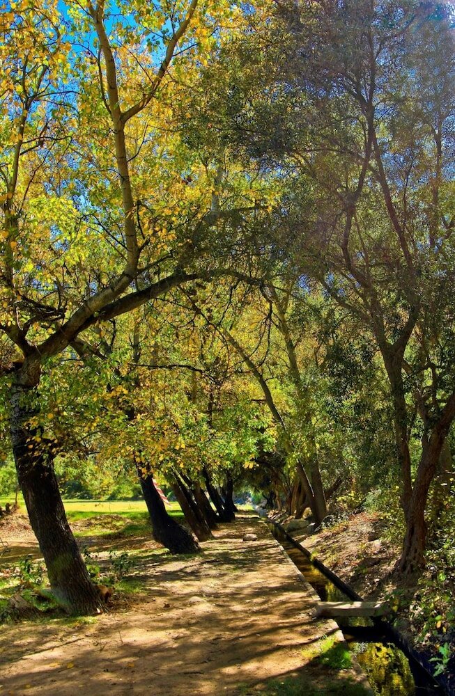 Фото Montagu Vines Guest House