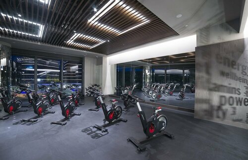 Гостиница Radisson Collection Hotel Vadistanbul в Эюпсултане