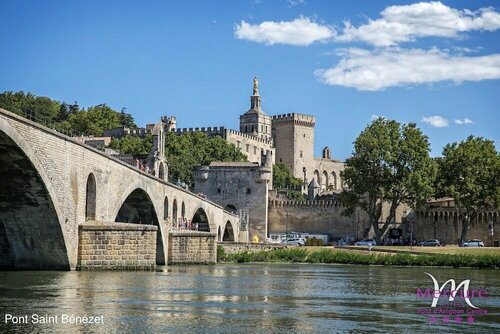 Внешний вид отеля Mercure Pont D'avignon Centre в Авиньоне, фото 1