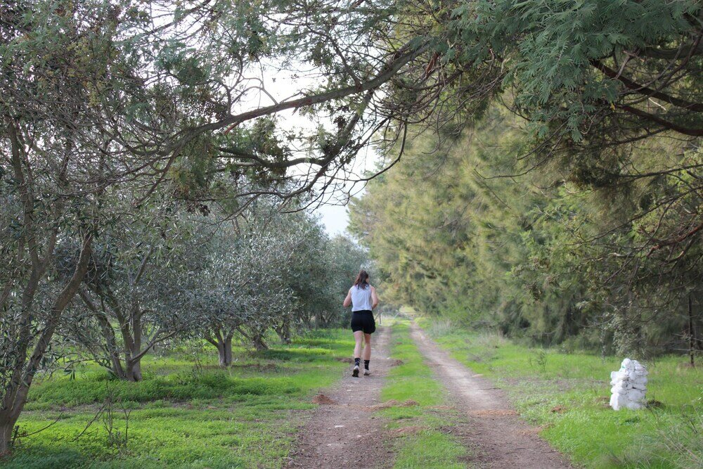 Фото Duikersdrift Winelands Country Escape