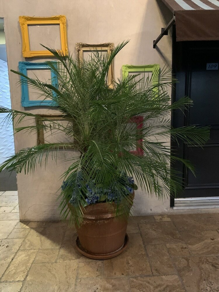 Фото L. A. Sky Boutique Hotel