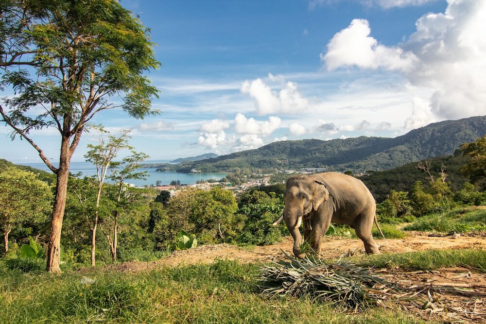 Фото Kamala Beach Residence