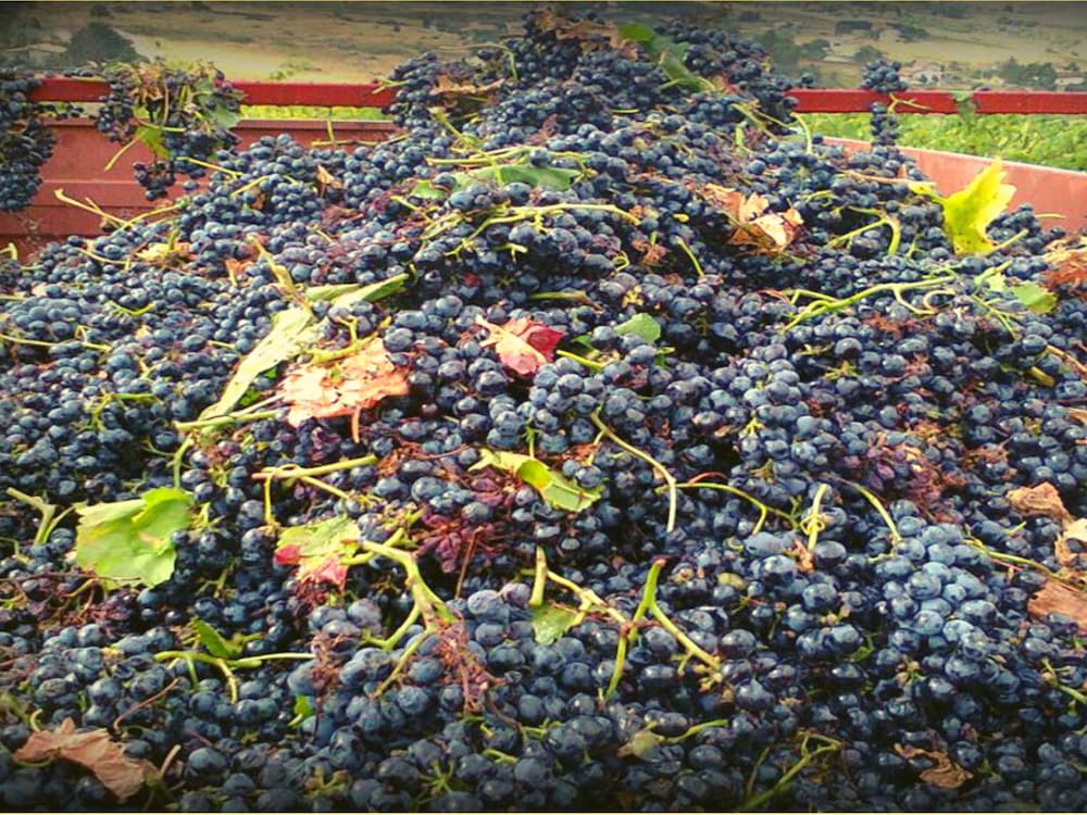 Фото Masseria La Chiusa