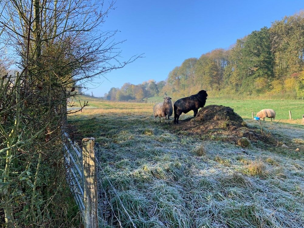 Фото Hotel Atlanta