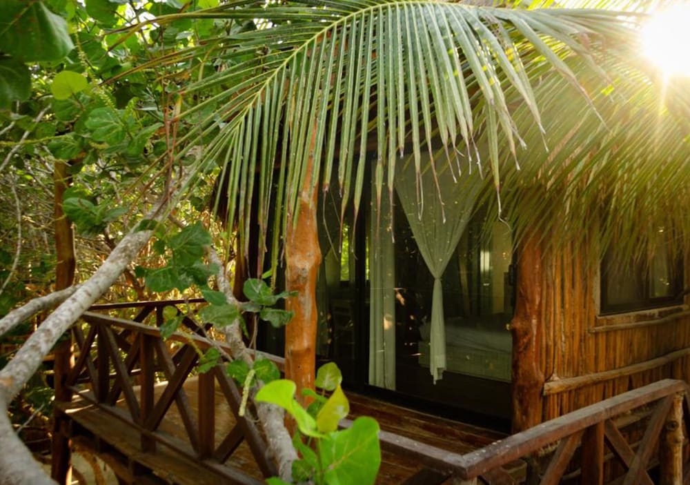 Фото Hotelito Azul