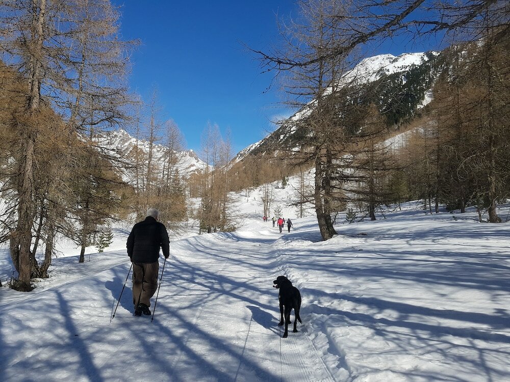 Фото Alphotel Stocker