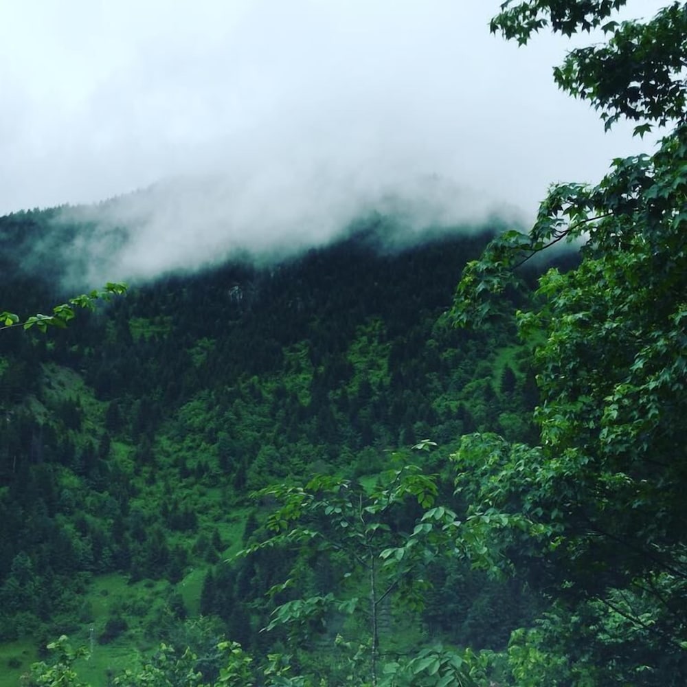 Фото Butik Inceli Hotel