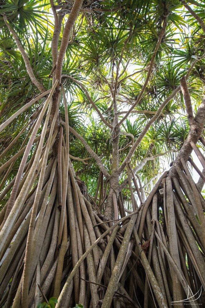 Фото Casa Umoja Guesthouse