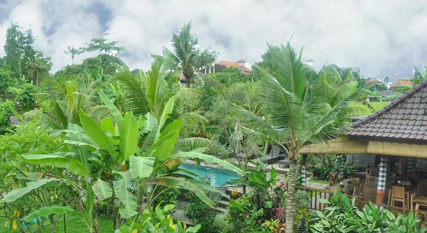 Фото Bucu Guest House