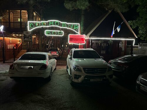 Иное жильё Сосновый бор в Геленджике