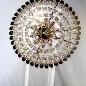 Фото Монарх