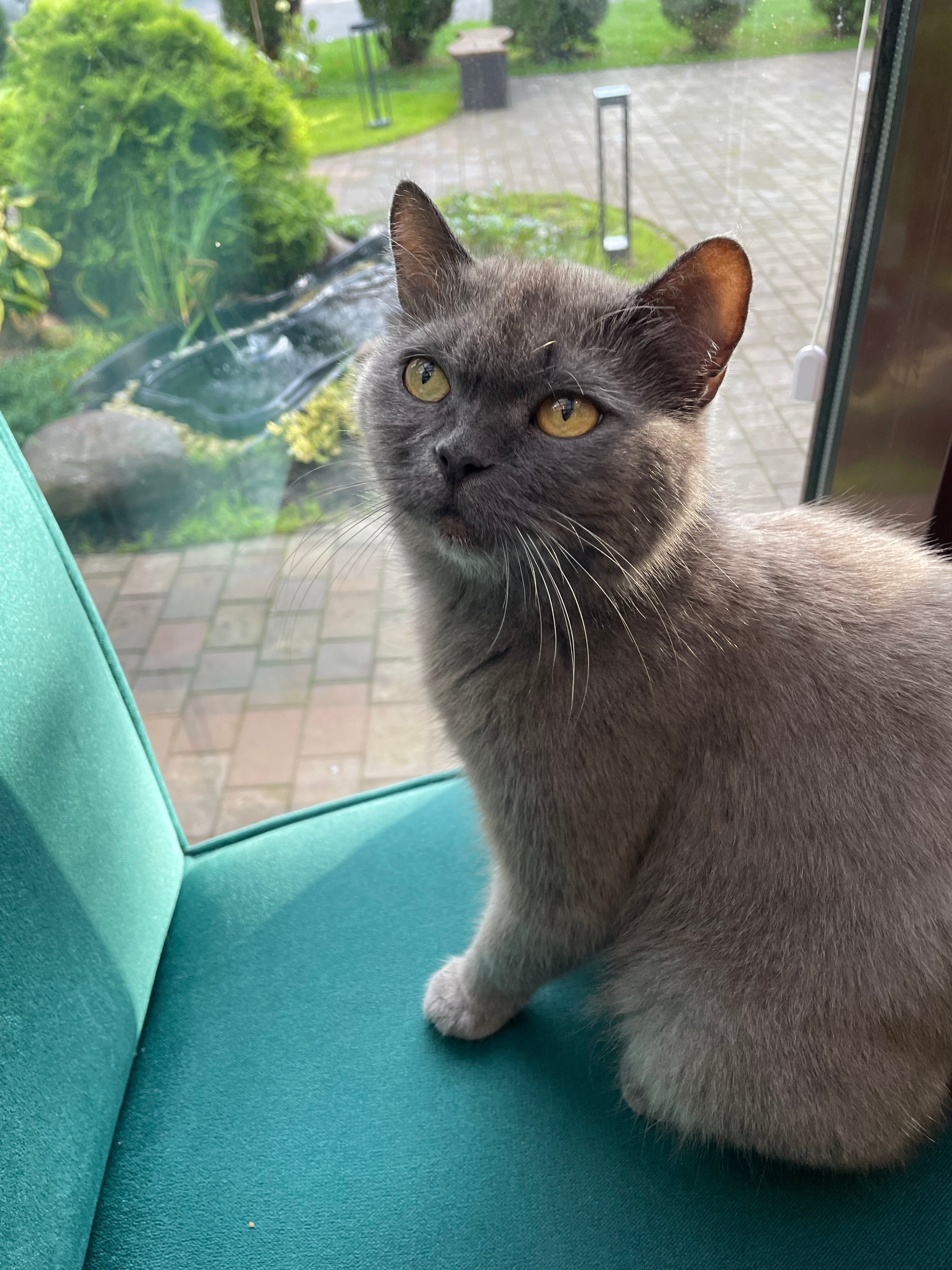 Фото Геркулес