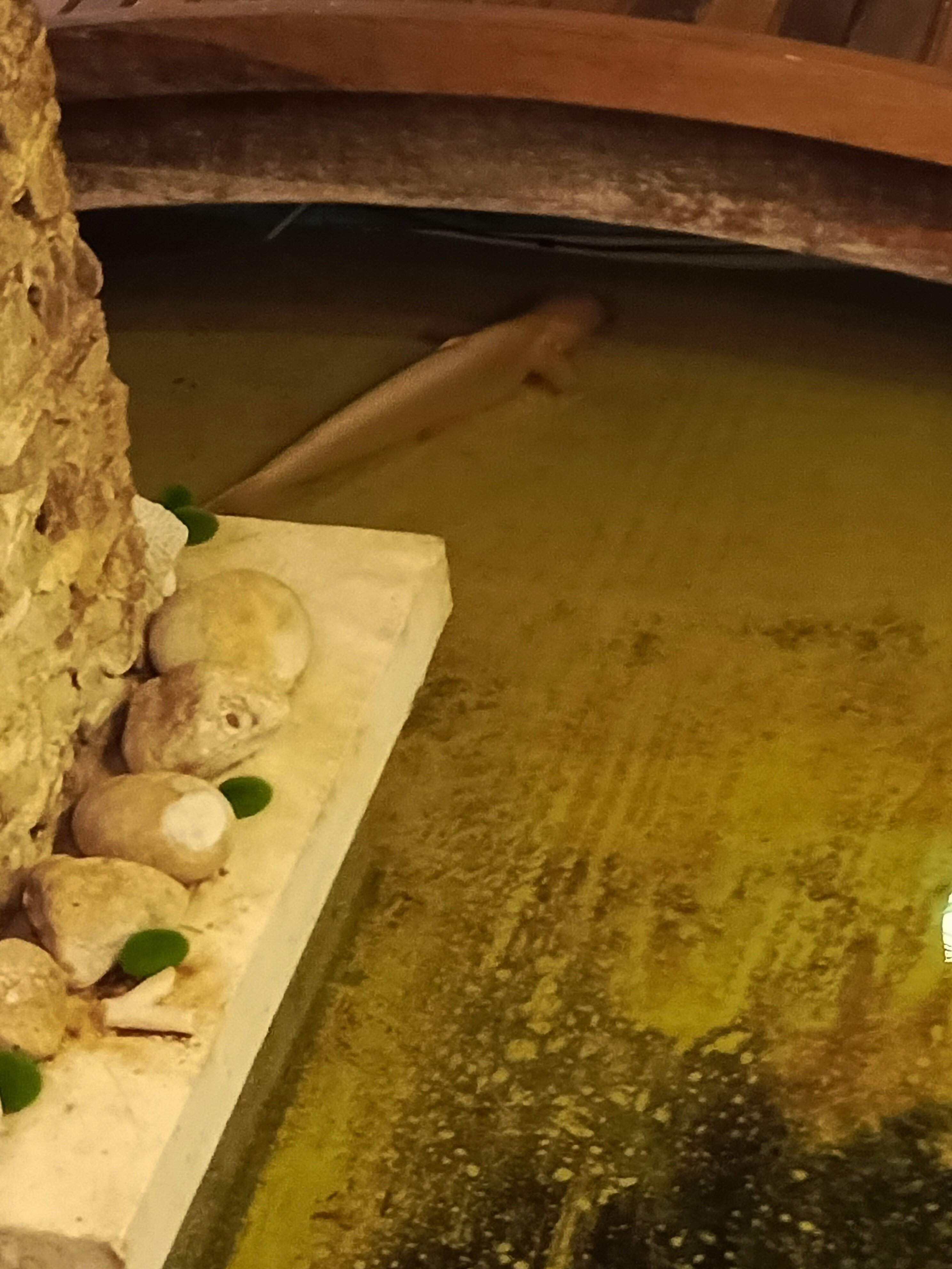 Фото Crystal Sands