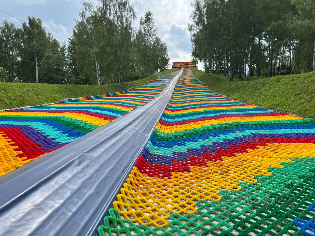 Фото Елисеевы поля