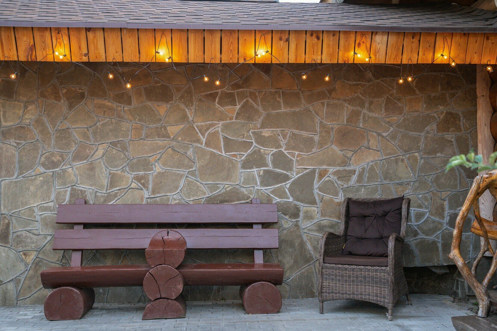 Фото Аристократ