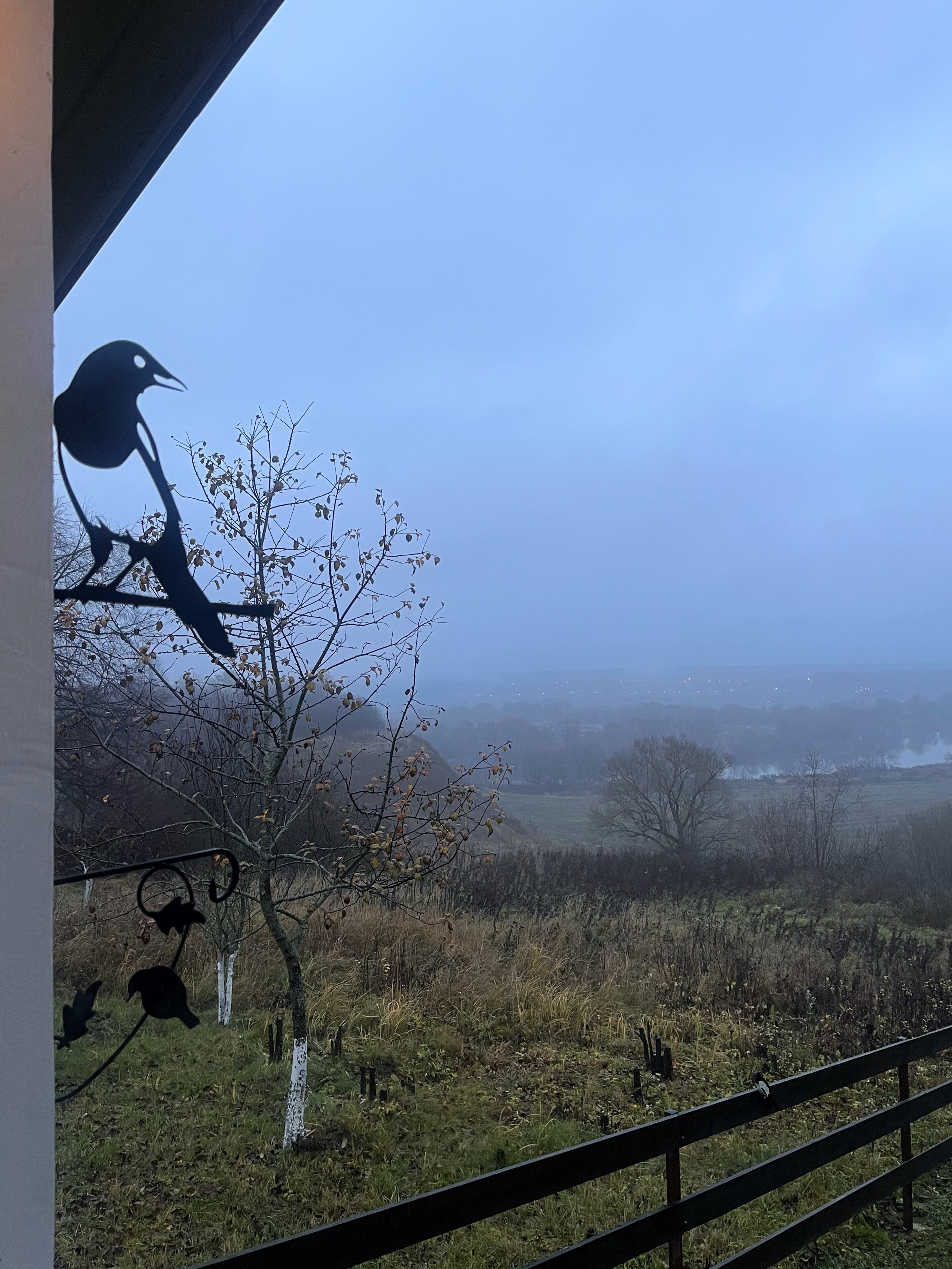 Фото ДомСорок