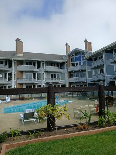 Гостиница The Grey Gull в Ошен Шорс