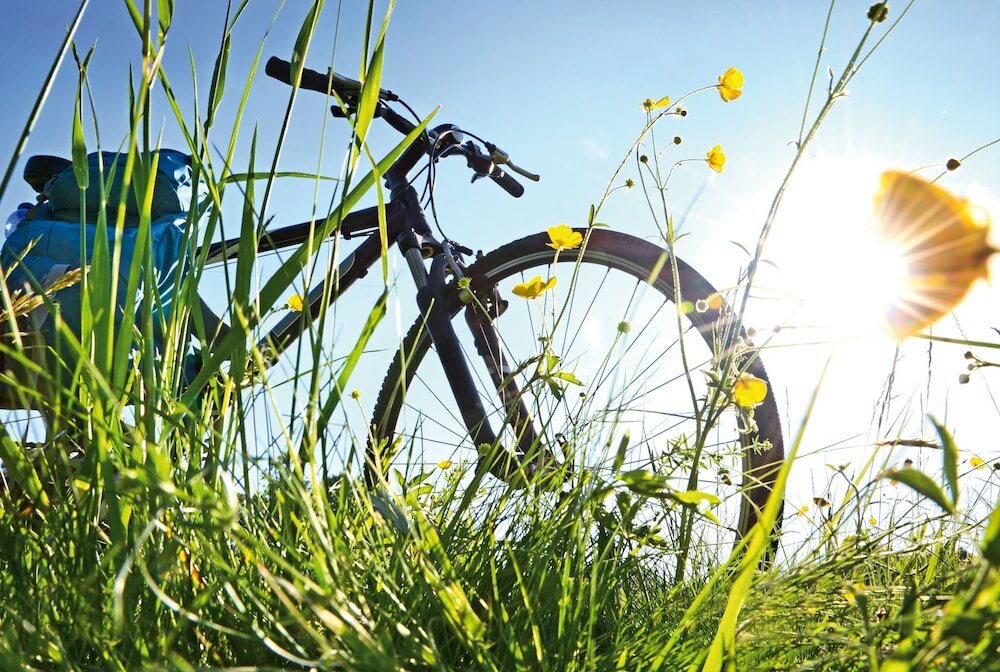 Фото Hotel Mona