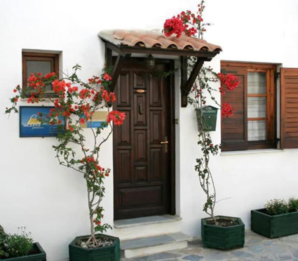 Фото Pension Butterfly